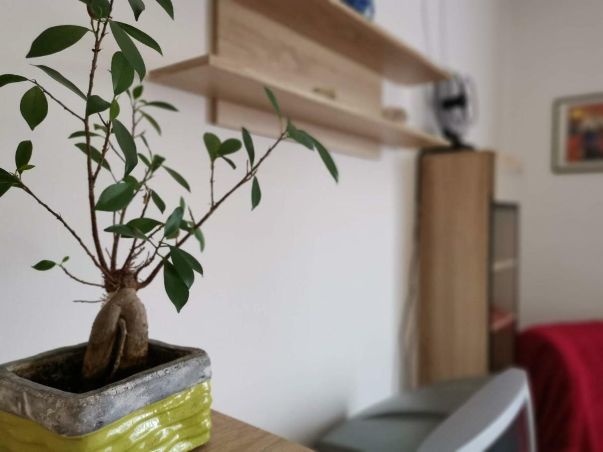 Apartma Carnerolo***