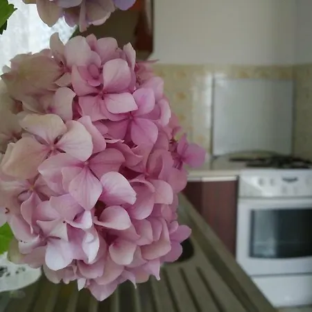 Carnerolo*** Apartman Fiume Kültér fotó
